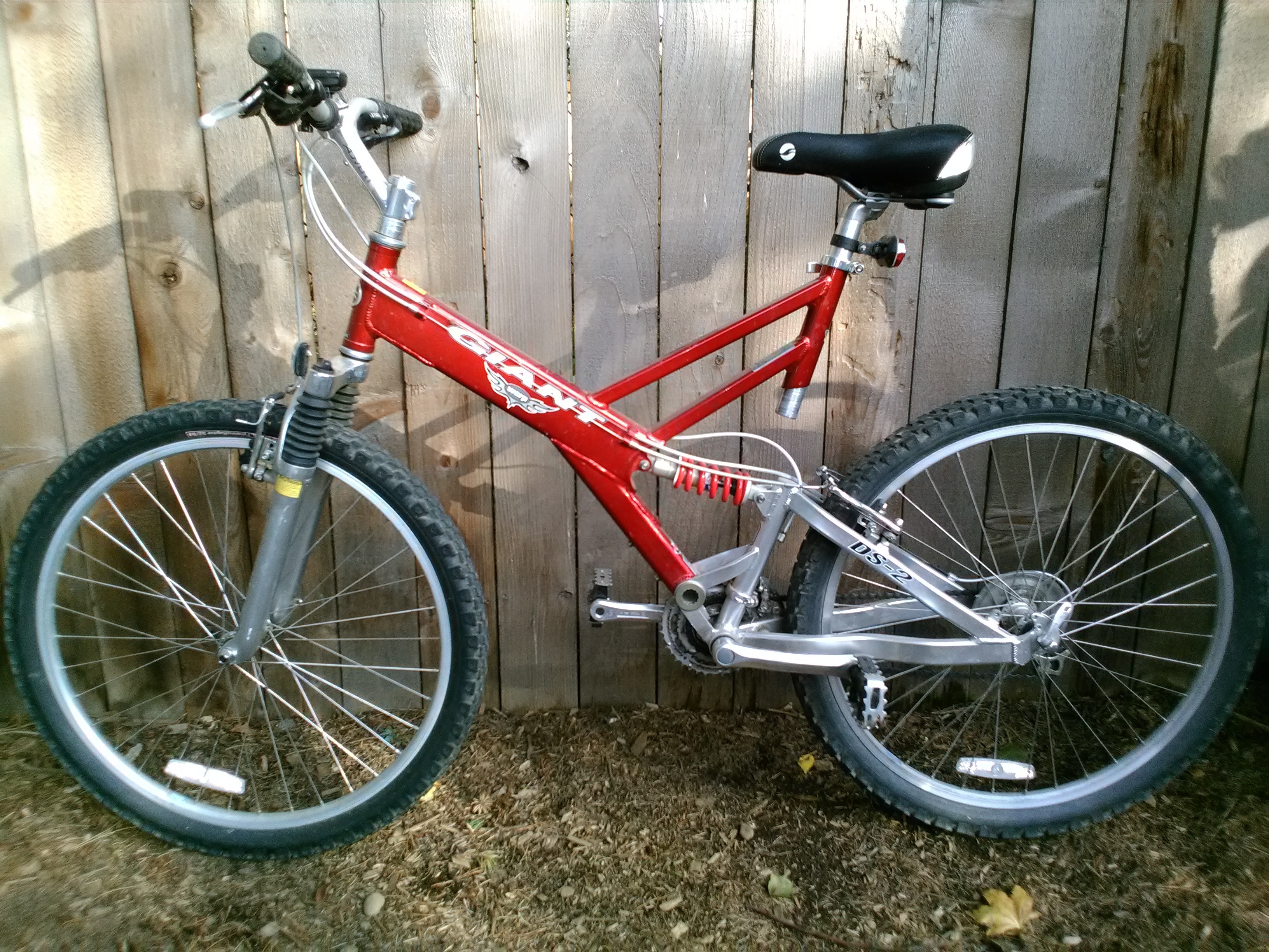 2009 Giant Giant DS2