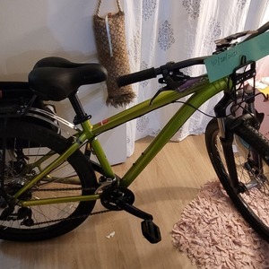 2013 Specialized P.STREET 1 Green