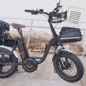 2020 Rad Power Bikes Radrunner plus Black and Black