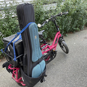 2021 Tern GSD S10 cargo bike (rear storage) Pink