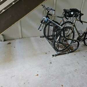 Fuji Touring Brown
