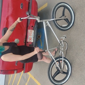 1982 Raleigh bmx Silver, gray or bare metal