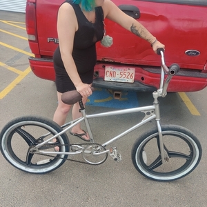 1982 Raleigh bmx Silver, gray or bare metal