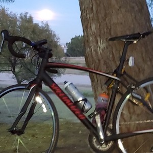 2015 Specialized Sector Elite Black