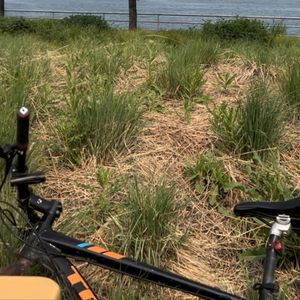 2022 Thule bike trailer Green