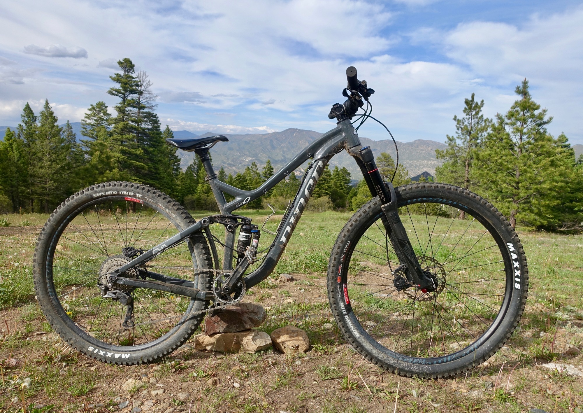 2017 Niner Rip 9