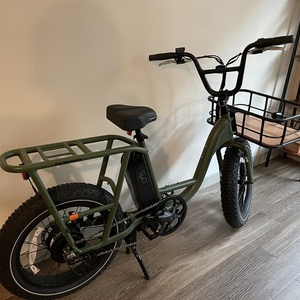 2023 Rad Power Bikes Green