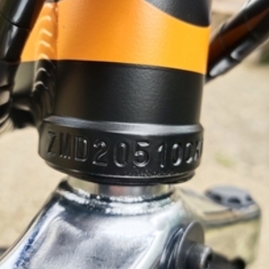 2022 A dece oasis ZMD205100X0196 Black and Orange