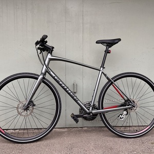 2019 Specialized Grey Silver, gray or bare metal and Red
