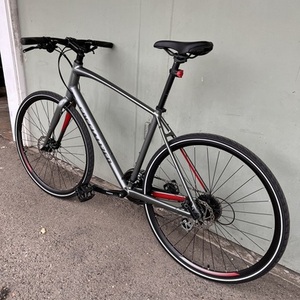 2019 Specialized Grey Silver, gray or bare metal and Red