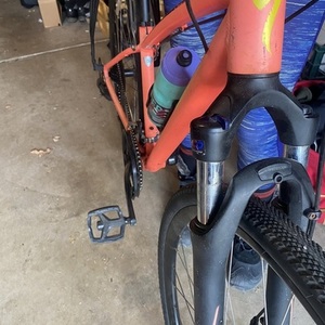 2018 Specialized Ariel Pink