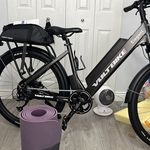 2023 Volt Bike Elegant Silver, gray or bare metal