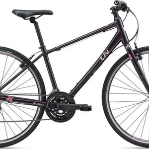 2018 Giant ALIGHT 2 Purple