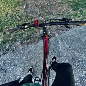 2020 Giant Disc 2 Red