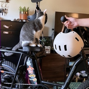 2023 Rad Power Bikes RUNNER 2 Black