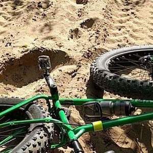 2015 Surly Pugsley Green