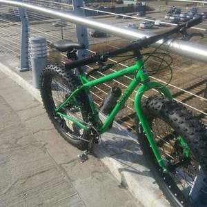 2015 Surly Pugsley Green