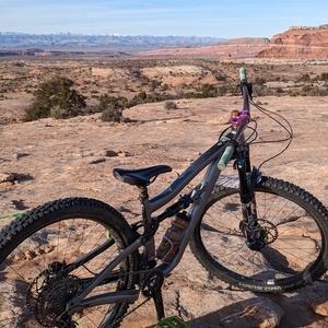 2022 Ibis Ripley AF Silver, gray or bare metal