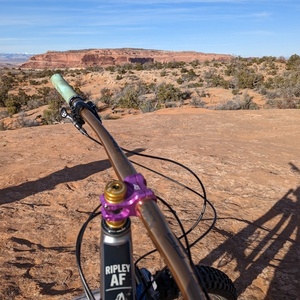 2022 Ibis Ripley AF Silver, gray or bare metal