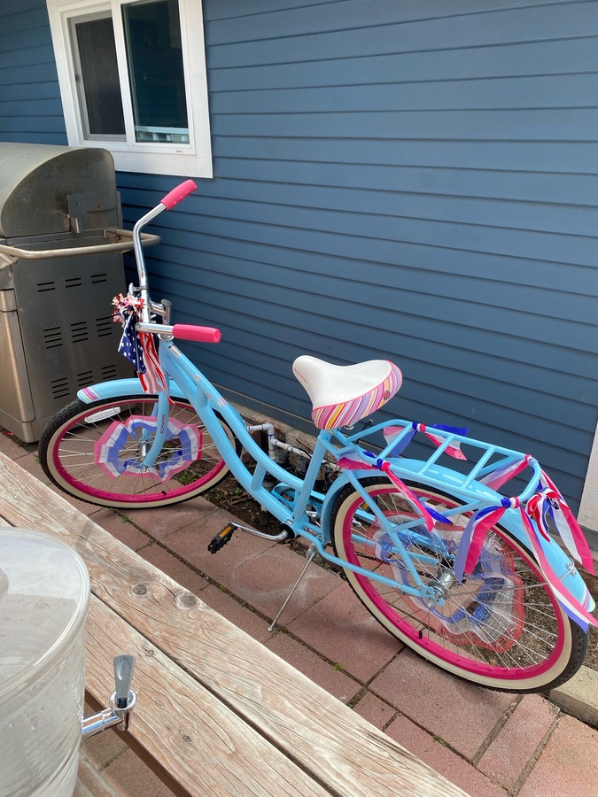 2013 Schwinn Cruiser Women's