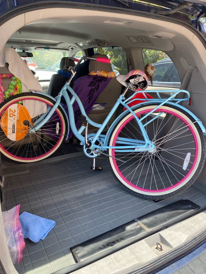 2013 Schwinn Cruiser Women's