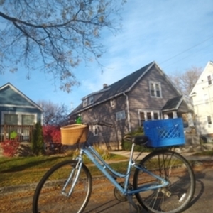 Raleigh Detour 3.5 Blue