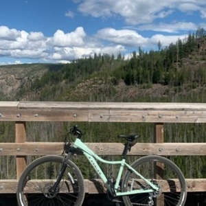 2018 Trek Trek Skye SL