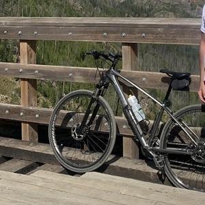 2019 Trek Trek Dual Sport 4