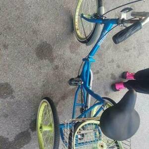 Other trike cargo tricycle (rear storage) Blue