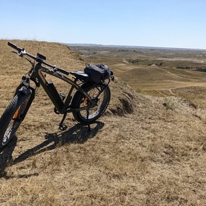 2022 addmotor m-560 Green