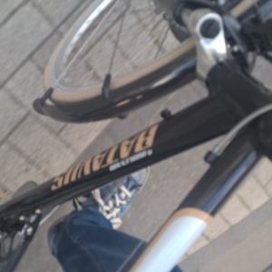 Batavus City Boulevard Black