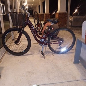 Trek Navigator 2.0 Purple