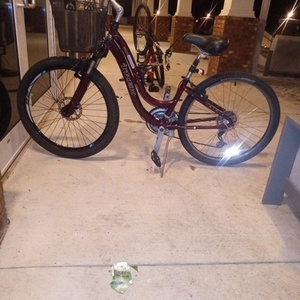 Trek Navigator 2.0 Purple