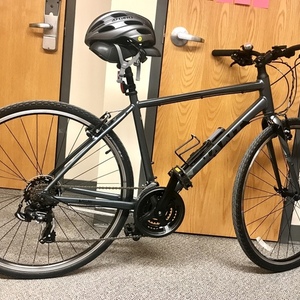 2019 Giant Escape 3 Silver, gray or bare metal