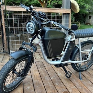 2019 Rad Power Bikes Rad Runner Plus Silver, gray or bare metal