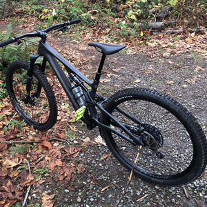 2022 Specialized StumpJumper Evo Expert Black