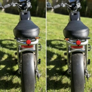 2019 Rad Power Bikes Rad Runner Plus Silver, gray or bare metal