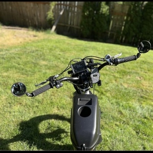 2019 Rad Power Bikes Rad Runner Plus Silver, gray or bare metal