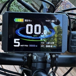 2019 Rad Power Bikes Rad Runner Plus Silver, gray or bare metal