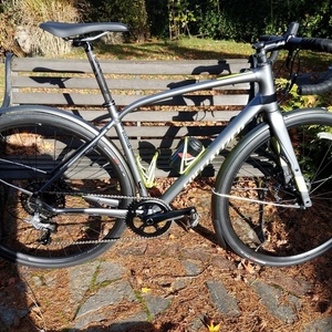 2016 Specialized Diverge Silver or Gray