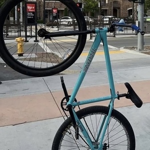2023 Throne Cycles The Goon Tiffany Zebra Teal