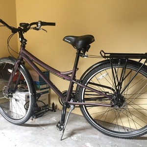 2010 Transit Rosemary