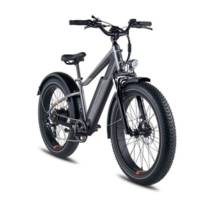 2023 Rad Power Bikes Rover HS Black
