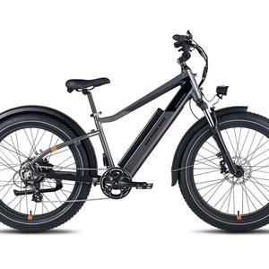 2023 Rad Power Bikes Rover HS Black
