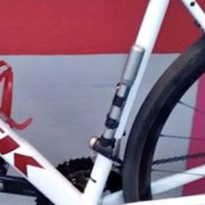 2022 Trek Domane AL 3 DISC-58 White, Black, and Red