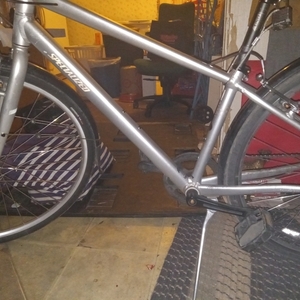 2017 Specialized Alibi Silver, gray or bare metal