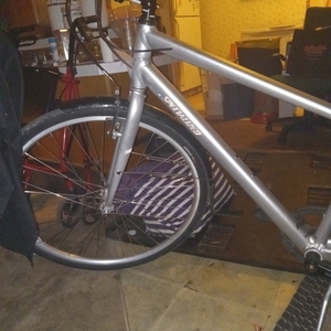 2017 Specialized Alibi Silver, gray or bare metal