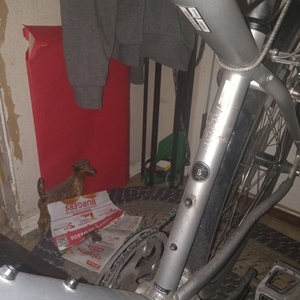 2017 Specialized Alibi Silver, gray or bare metal