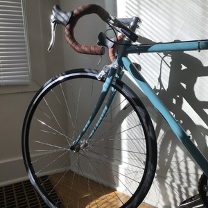 2017 Wabi Cycles Classic custom Blue