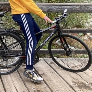 2017 Trek Hybrid Silver, gray or bare metal